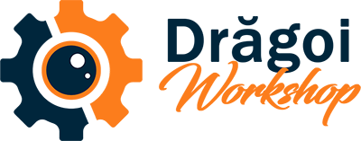 Dragoi Workshop